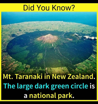 WhatsApp Image 2021-12-11 at 8.43.52 PM.jpeg
