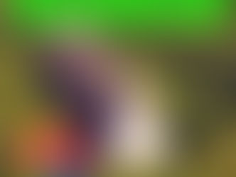 The Enigmatic Chicken Church