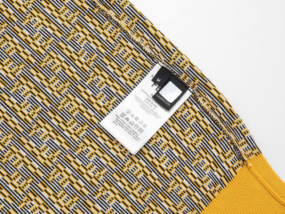 Thumbnail: FENDI POLO