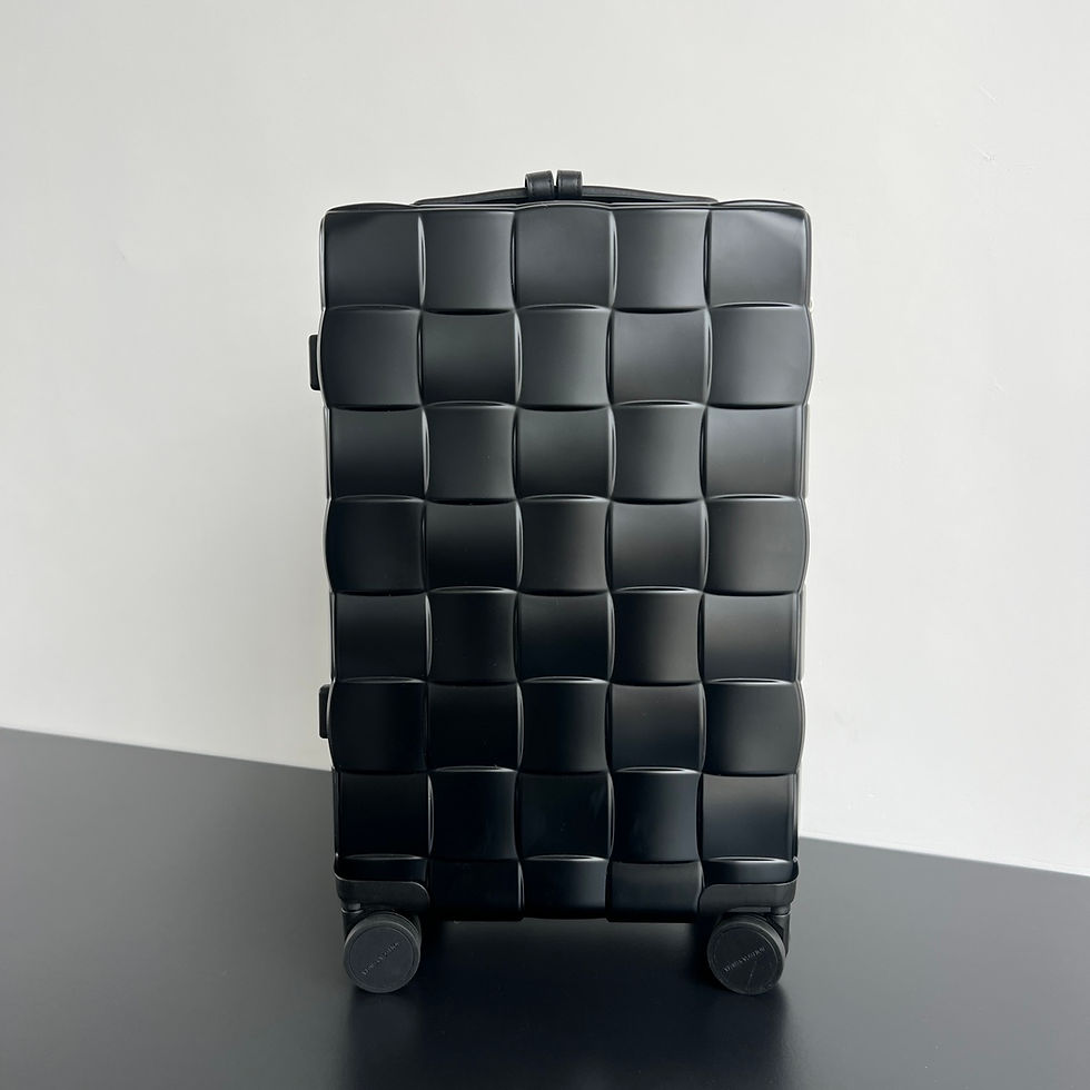 BOTTEGA VENETA ODYSSEY CABIN SUITCASE