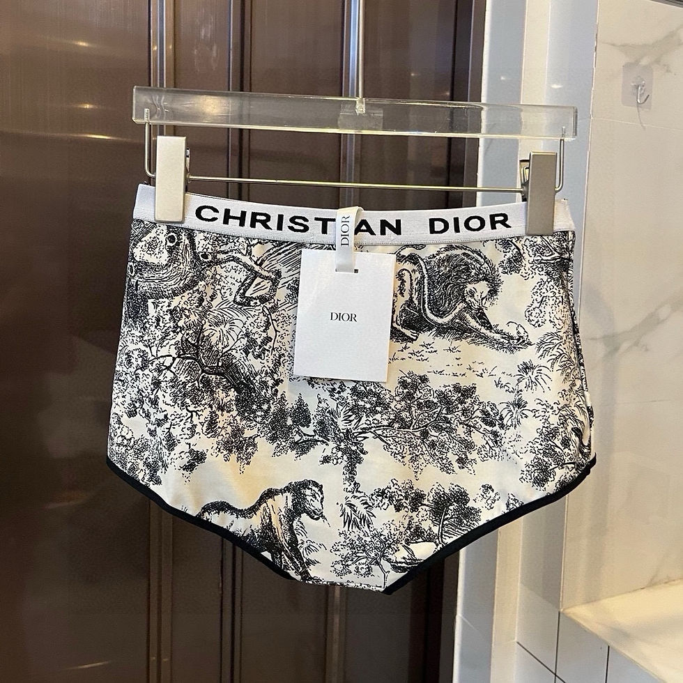 Thumbnail: DIOR SWIMSUIT