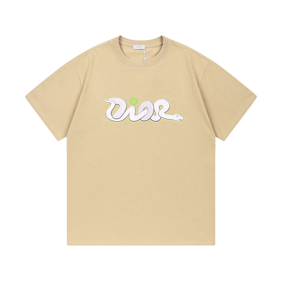 DIOR TEE