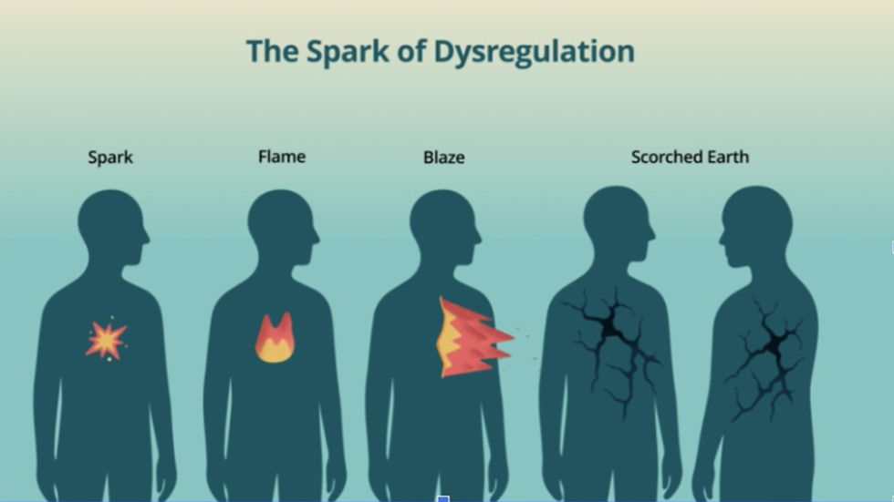 Spark of Dysregulation graphic