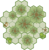 Woods-th.png
