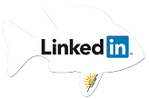 ALT="Joelake fishing Linkedin"