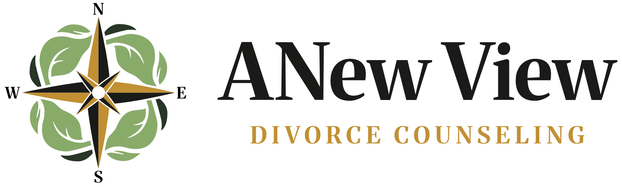 ANewView_Logo_05-07-2026.png
