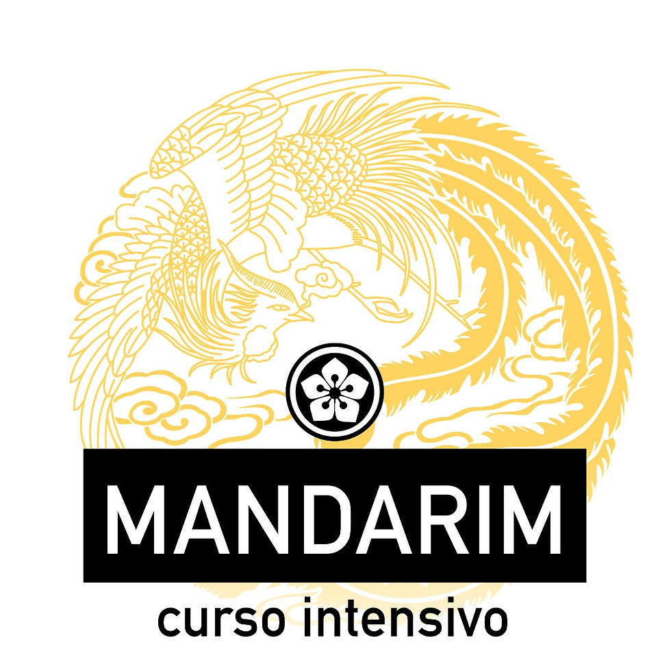 2026 - Intensivo de Mandarim ONLINE - Básico 1 - JANEIRO