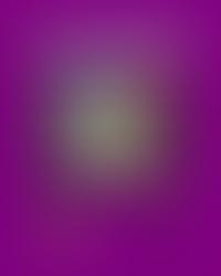 O Custo do Silêncio: O Racismo Estrutural no Orçamento Público