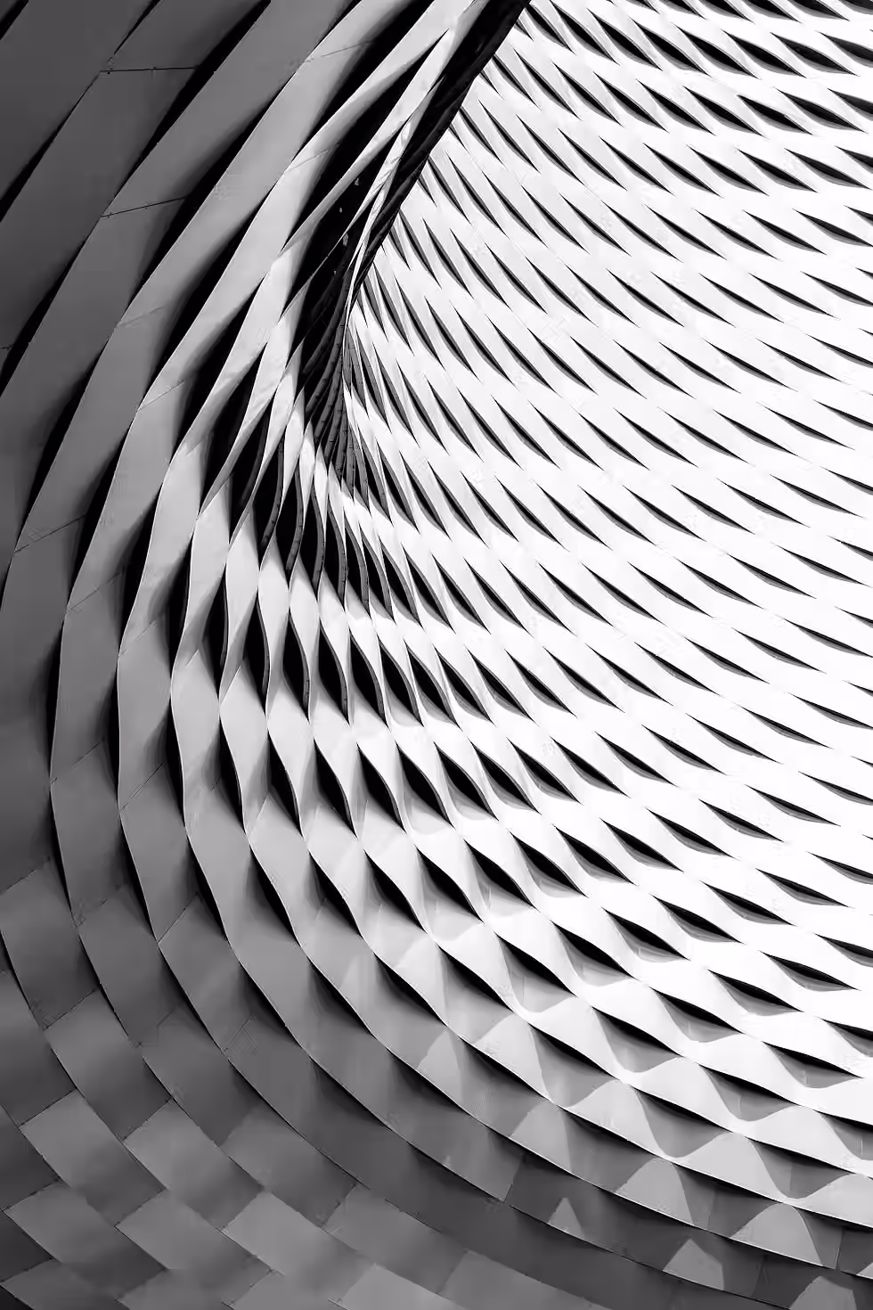 photo-1482053450283-3e0b78b09a70.avif