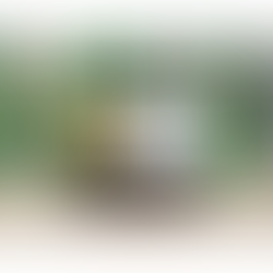 B2B Matchmaking for Membership Organisations