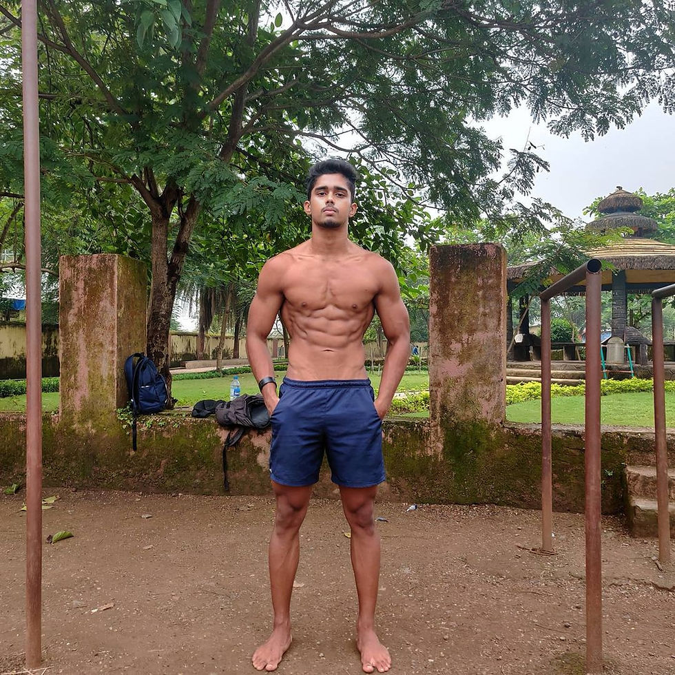 Calisthenics: A Lifestyle (Category Introduction)