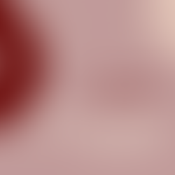 ¿Cuándo leerme la revolución solar?