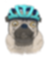 PUG