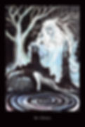 Woman in water with a ghostly figure, Herbarium Oracle, dark forest background.
