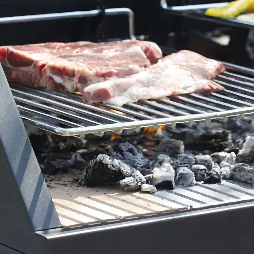 FONTANA FORNI - BBQ EGEO 110