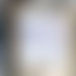 The Big Fake Wedding Show- Then & Now