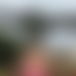 Not listening to my professors: A success story