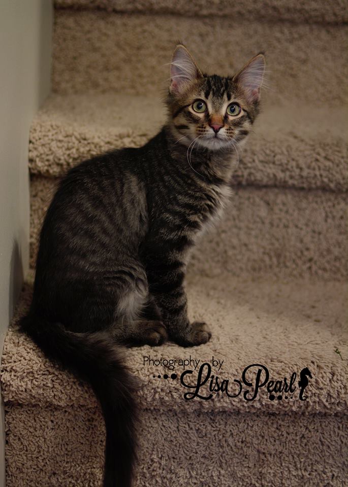 Peeta