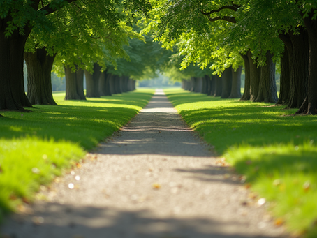 How to Create Personalized Care Plans for Effective Chronic Illness Management Through Walking and Exercise
