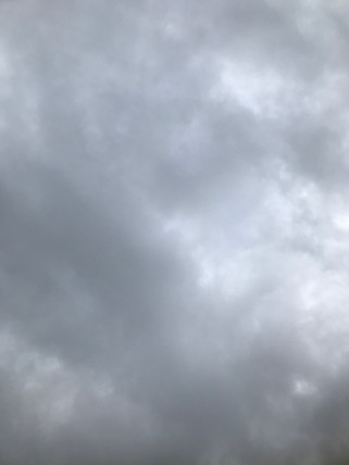a GREY SCALE