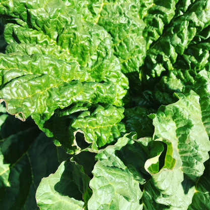 something GREEN