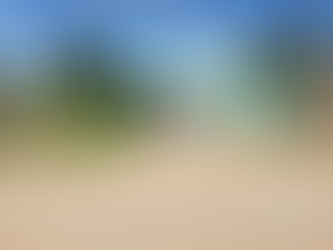 VISITAS DOMICILIARES EDUCATIVA: INFORMAÇÕES SOBRE AS OBRAS