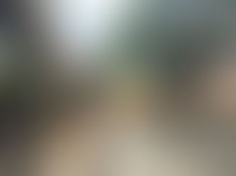 Visitas Domiciliares Educativas: Informações sobre as Obras