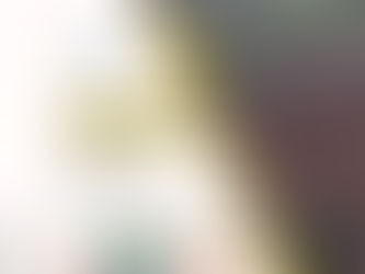 Obra do Sistema de Esgotamento Sanitário realizada no Município de Ji-Paraná.