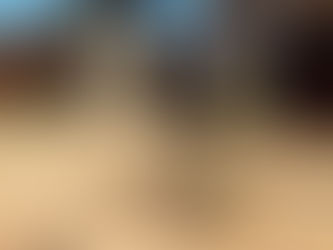 Visitas Domiciliares Educativas: Informação sobre a obra