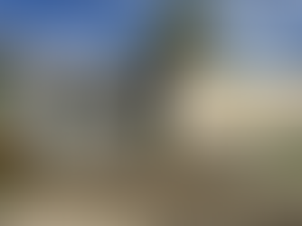 VISITAS DOMICILIARES EDUCATIVA: INFORMAÇÕES SOBRE AS OBRAS