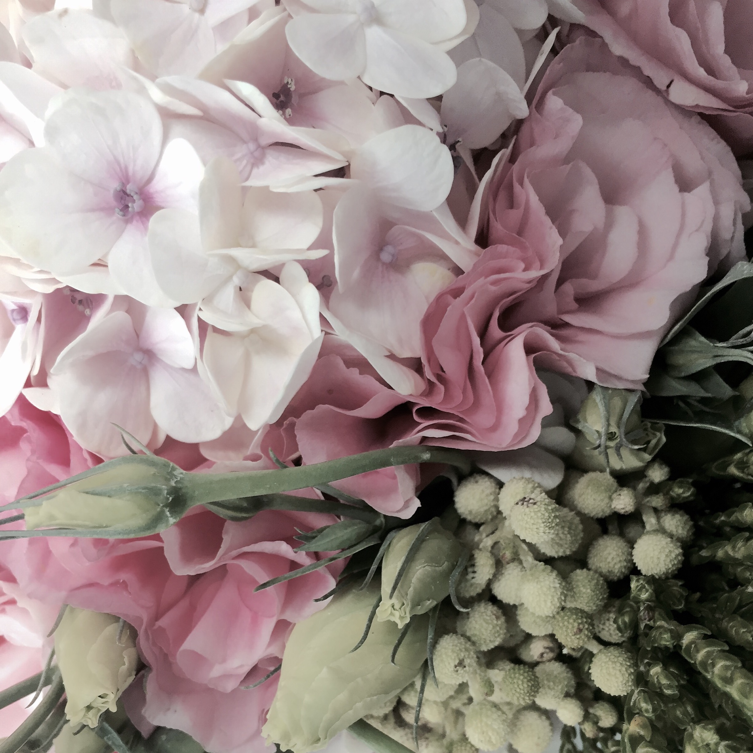 Dream Florist