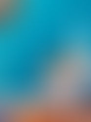 What about the paint...that IS the question