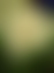 Singing with the peace of suicide?