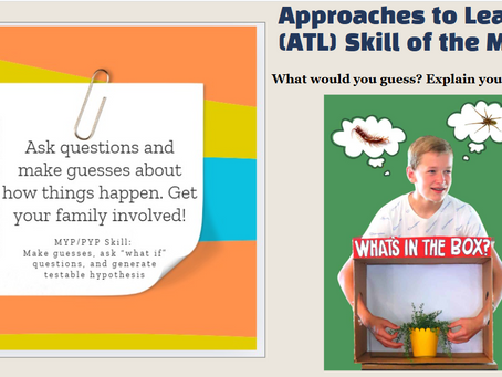 January Approaches to Learning Skill of the Month
