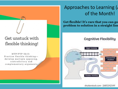 November Approaches to Learning (ATL) Skill of the month