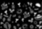 IMG_0717.jpeg
