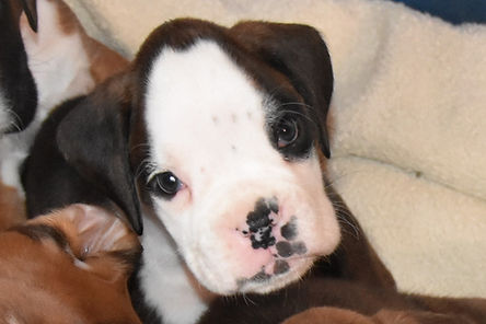 DSC_0038 (2)-min.JPG