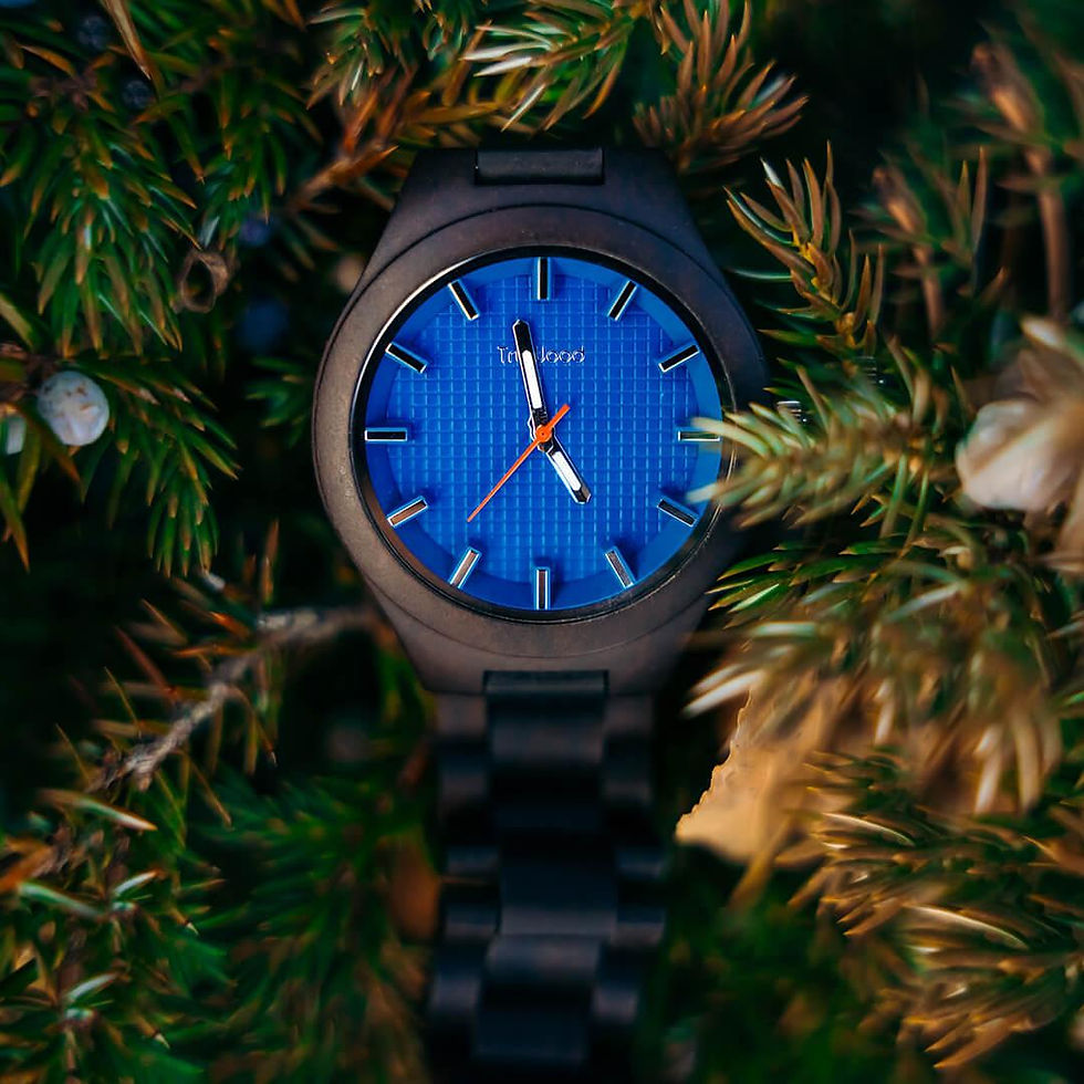 Miniatura: Navigator