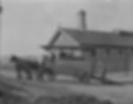 Transporting wounded horse