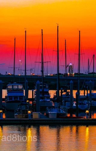 Bayland Marina