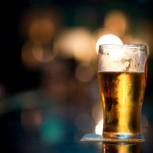 Cheetah Lager