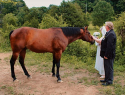 Picsart_26-02-16_14-23-13-174