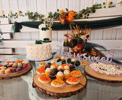 Picsart_26-02-16_14-33-43-533