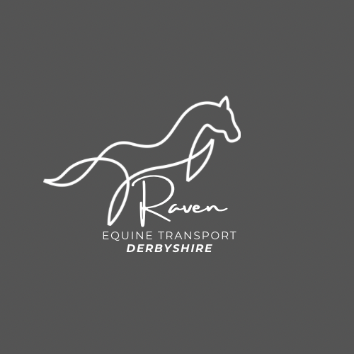 raven equine transport, horse transport in Derbyshire and Nottinghamshire