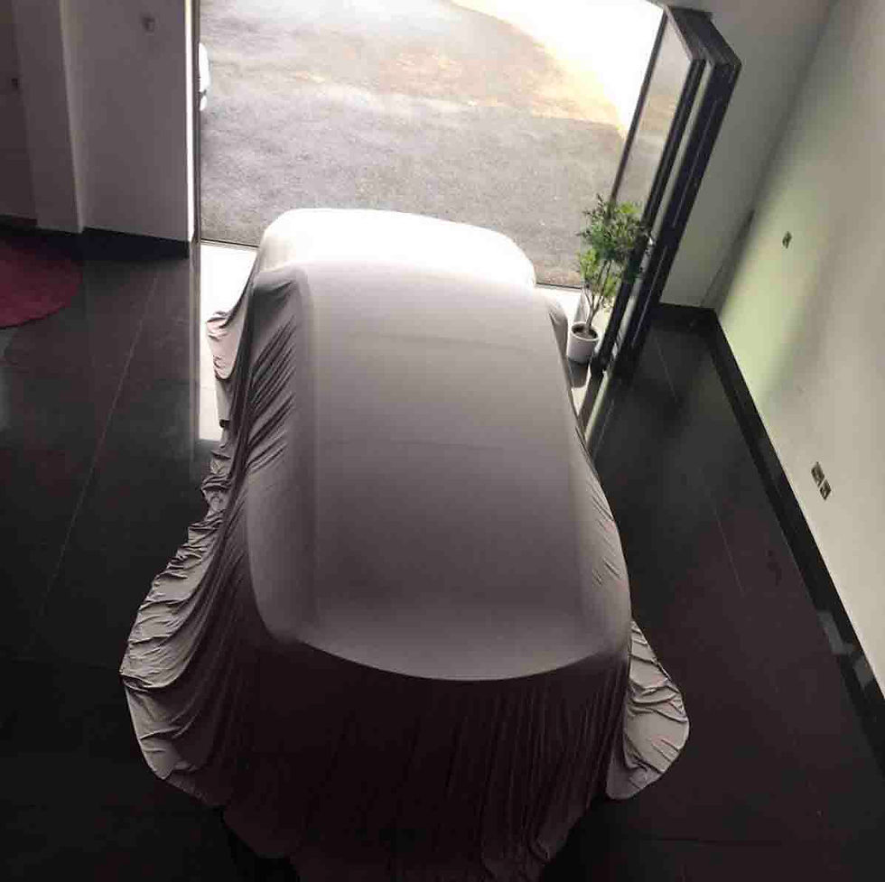 Thumbnail: Reveal silk Indoor Car Covers