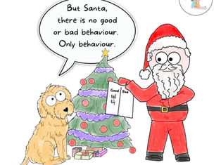 Naughty, Nice, or Just Living Their Best Life? A Holiday WTF Guide to Dog Behavior
