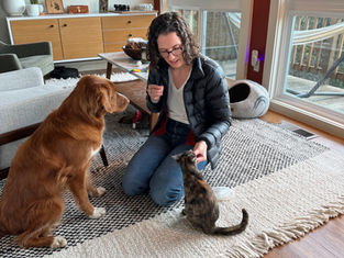 Winging It: The Chicken Time Protocol for Harmonious Dog and Cat Introductions