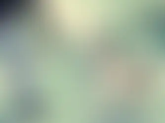 When Your Dog Redirects: Understanding and Preventing Leash Aggression