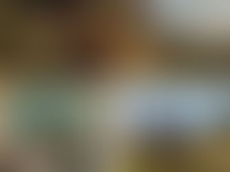 The Dog Who Taught Me Gratitude