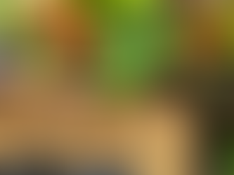 Produce and Pesticides – Is eating organic really worth the hype?